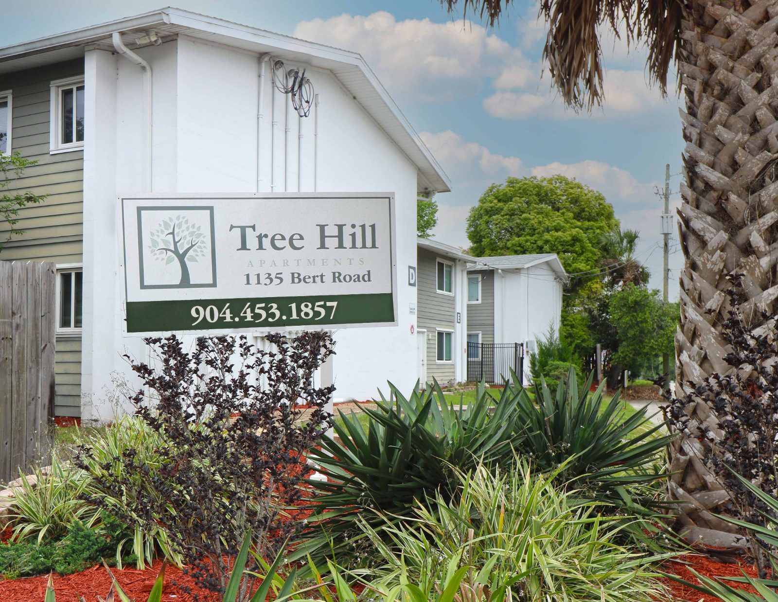 Tree Hill, grounds