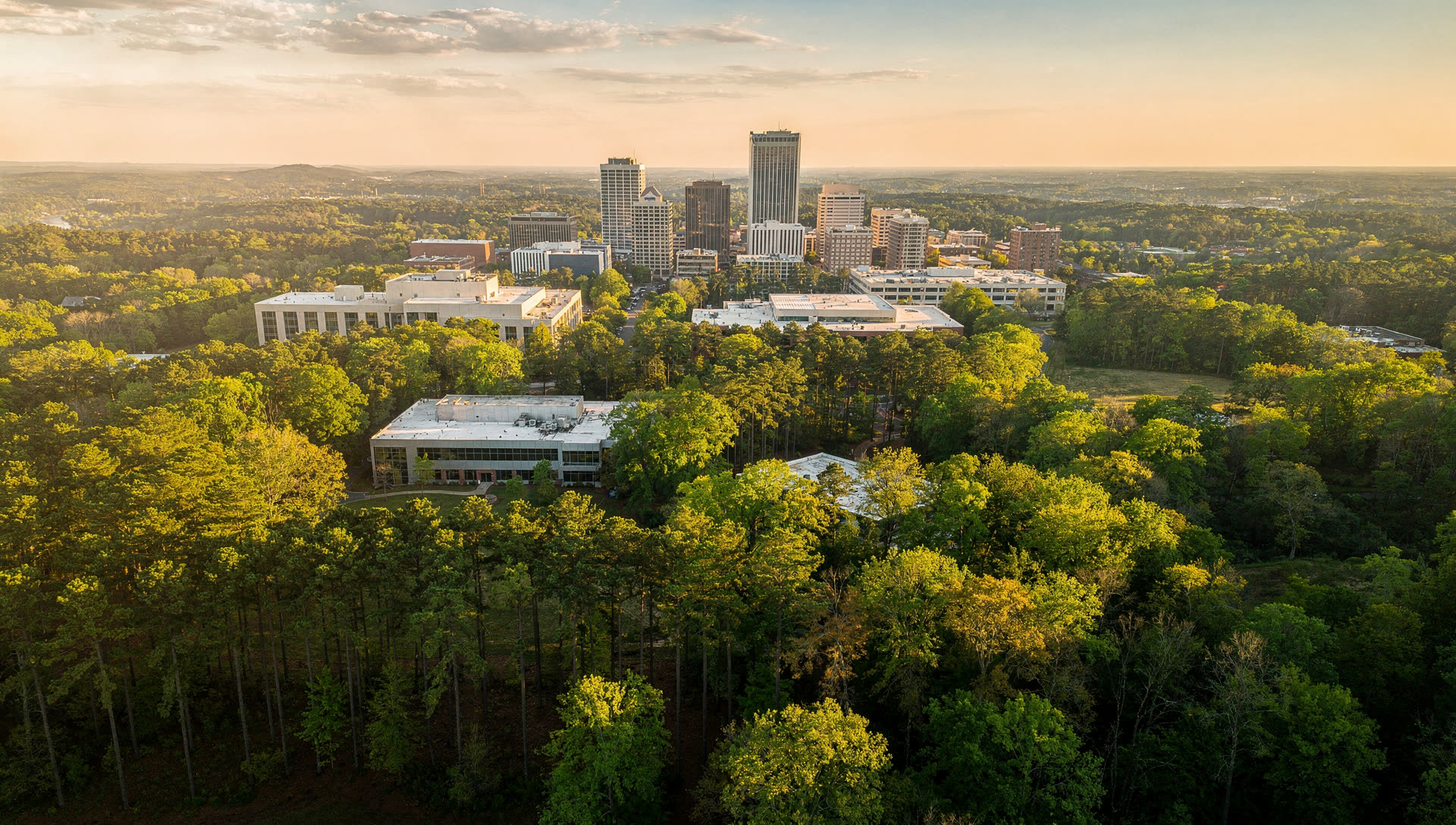Aerial view over Raleigh at golden hour, the downtown skyline rising from heavy pine and hardwood canopy with research campus rooftops and the gently rolling Piedmont beyond.
